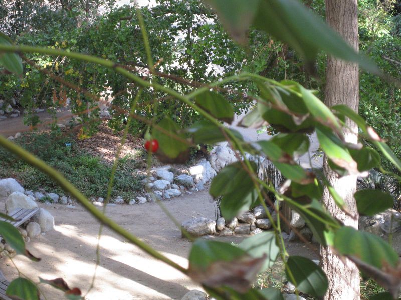 File:IMG 2411 ucla09.jpg