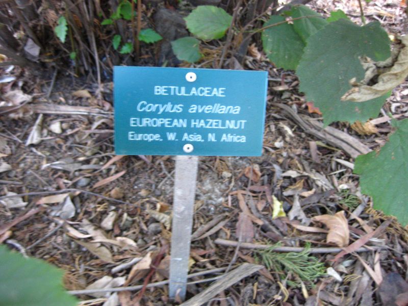 File:IMG 2513 ucla09.jpg