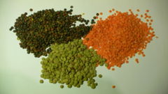Lentils