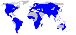 Alismataceae distribution map